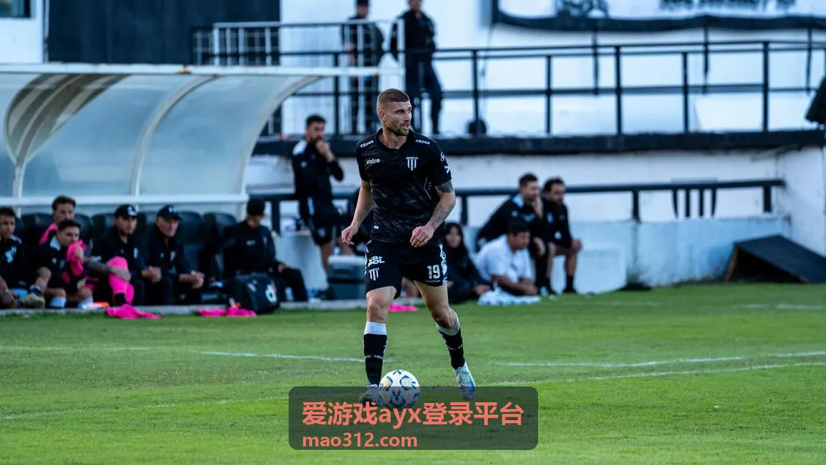 爱游戏ayx登录平台密码找回与重置流程示意