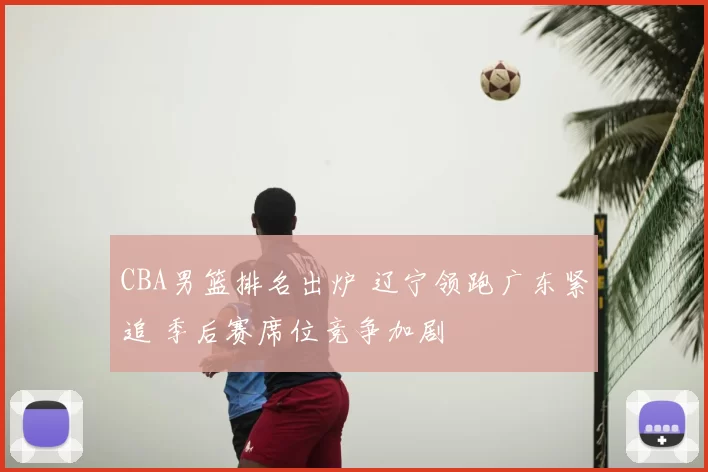 CBA男篮排名出炉 辽宁领跑广东紧追 季后赛席位竞争加剧
